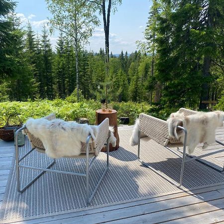 Glamping Tent With Amazing View In The Forest トーシュビュー エクステリア 写真