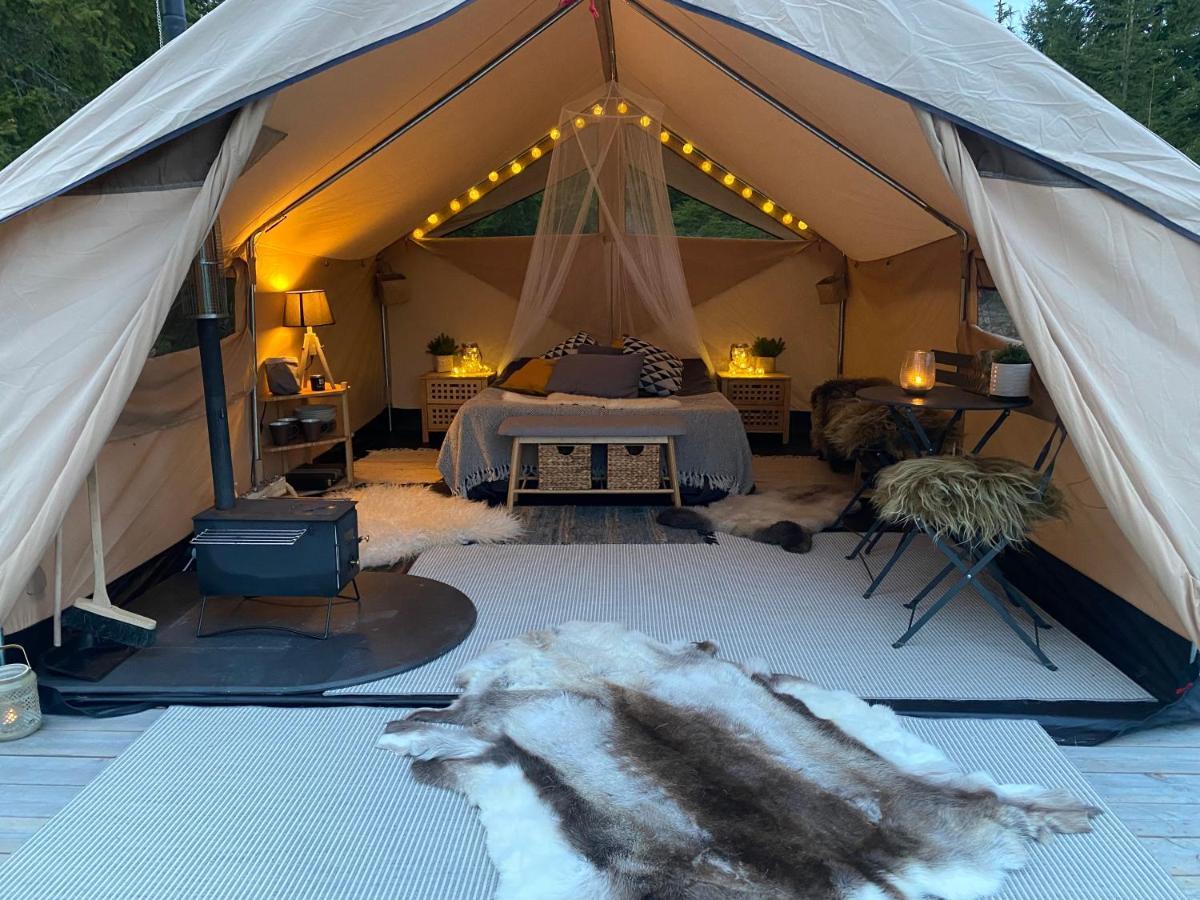 Glamping Tent With Amazing View In The Forest トーシュビュー エクステリア 写真