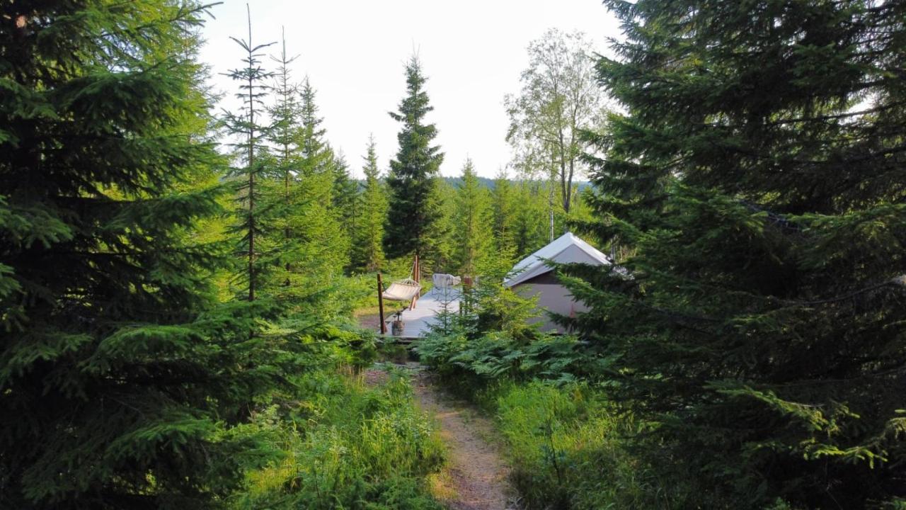 Glamping Tent With Amazing View In The Forest トーシュビュー エクステリア 写真