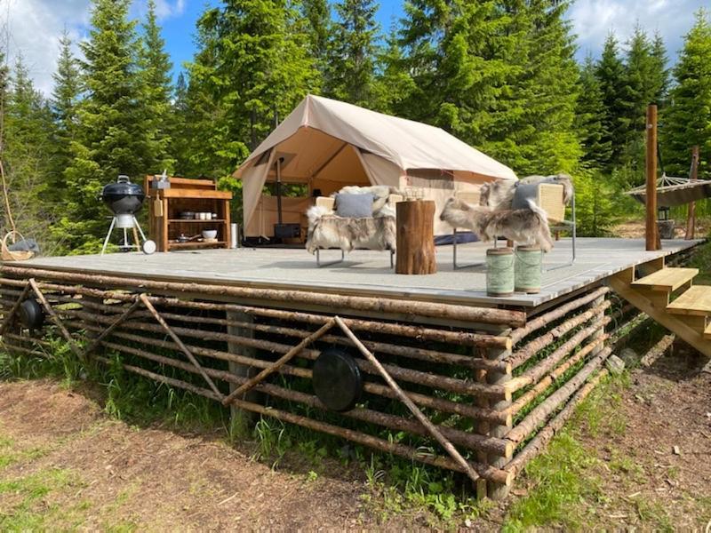 Glamping Tent With Amazing View In The Forest トーシュビュー エクステリア 写真