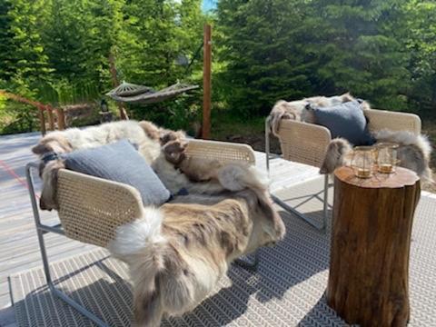 Glamping Tent With Amazing View In The Forest トーシュビュー エクステリア 写真