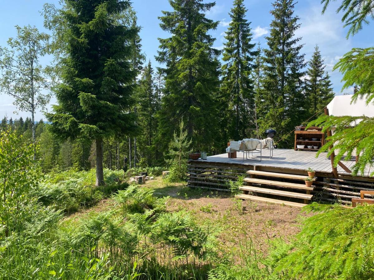 Glamping Tent With Amazing View In The Forest トーシュビュー エクステリア 写真