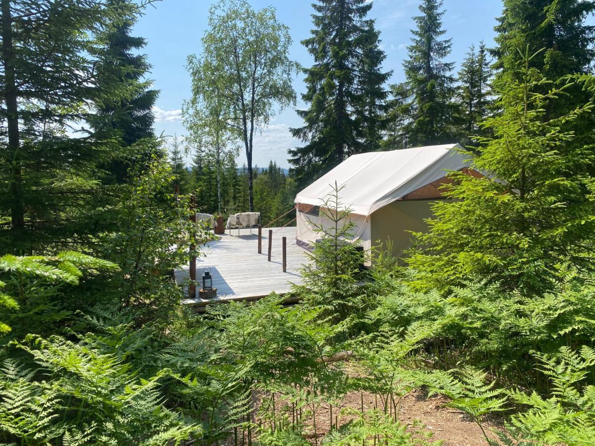 Glamping Tent With Amazing View In The Forest トーシュビュー エクステリア 写真
