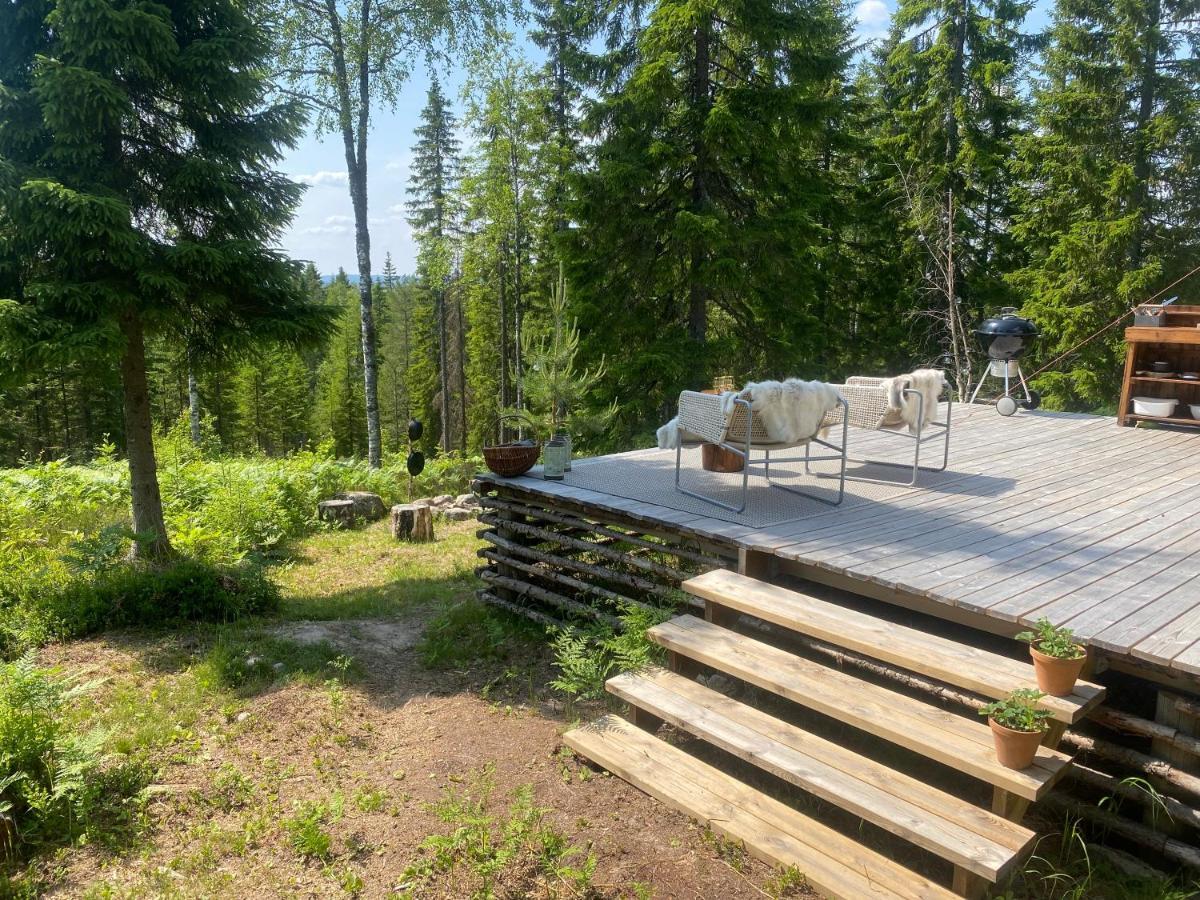Glamping Tent With Amazing View In The Forest トーシュビュー エクステリア 写真