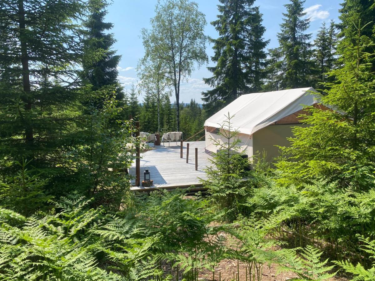 Glamping Tent With Amazing View In The Forest トーシュビュー エクステリア 写真